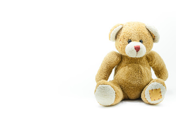 Brown Teddy Bear toy sitting on White background