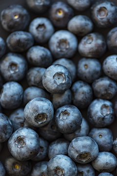 Berry, Blueberry background, High resolution picture.