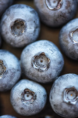 Berry, Blueberry background, High resolution picture.