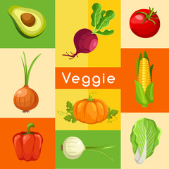 Vegetable Elements : Veggie Lover : Vector Illustration