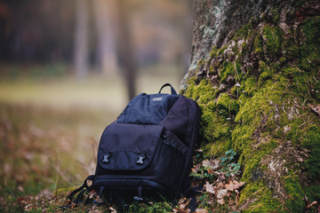 camera bag in the wood.