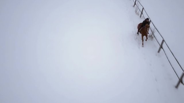 4k footage, woman on galloping horse on snow in winter drone point of view
