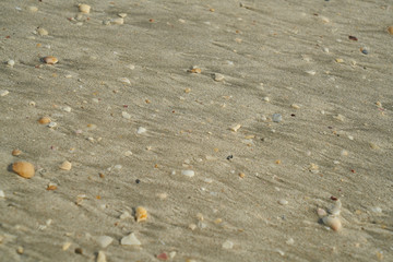Beach Sand Texture