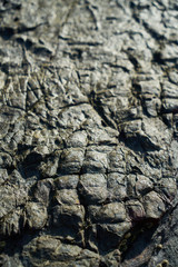 Rock Texture