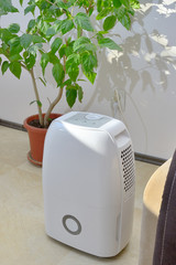 Portable dehumidifier colect water from air