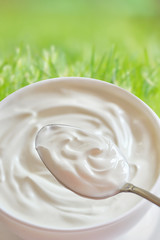 Ceramic bowl of white yoghurt