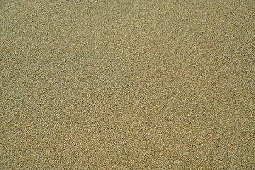 Sand Texture