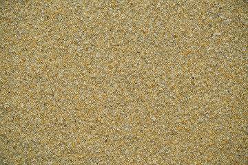 Sand Texture