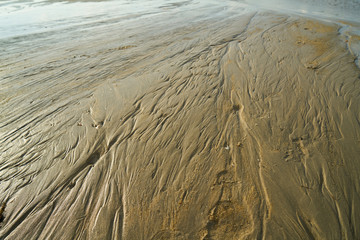 Sand Texture