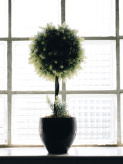 Home interior. Nice focus in flower pot on windowsill