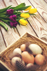 Easter background with eggs in nest and purple and yellow tulips