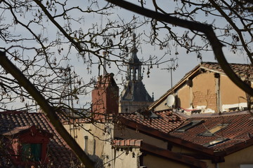 Entre ramas y tejados