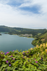 Fototapeta na wymiar Flowers inf Front of Lagoa Verde, Sao Miguel, Azores, Portugal, Europe
