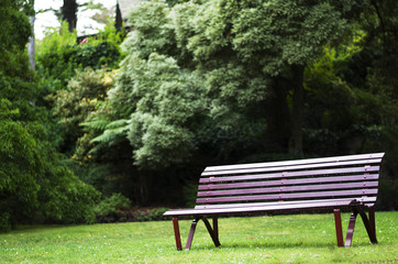Fototapeta premium Bench in the garden