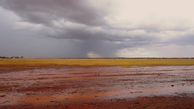 Regen im Wheatbelt, Outback, Farmland in Westeaustralien, Weizenanbaugebiet, Australien, WA, Down Under, Video