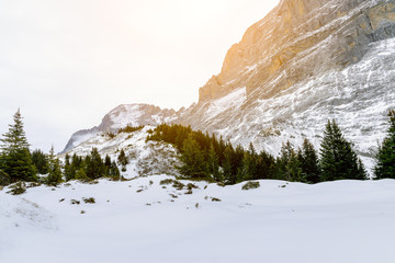 The view point of the Alps Mountains in winter ,Grindelwald Switzerland.