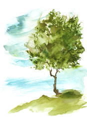 Watercolor green tree on hill against blue sky. Hand drawn illustration. Symbol of ecology.