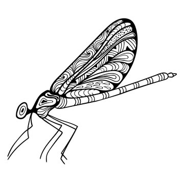 Dragonfly coloring book for adults vector illustration. Anti-stress coloring for adult. Tattoo stencil. Zentangle style. Black and white lines. Lace pattern