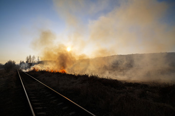 Vegetation fire under the hot sun