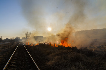 Fototapeta premium Vegetation fire under the hot sun