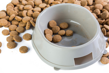 dry dog food isolated on white background