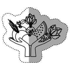 Fruits and vegetables icon vector illustration graphic design