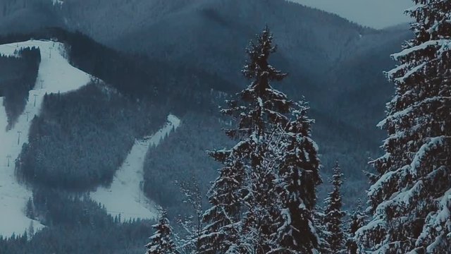 Winter mountain panorama with ski slopes. Spruce and mountain