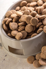pets food on the floor
