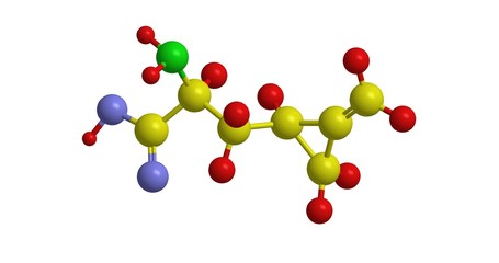 Molecular structure of hypoglycin