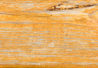 wood painted orange paint