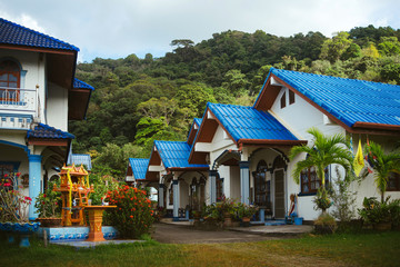 Obraz premium House with blue roof