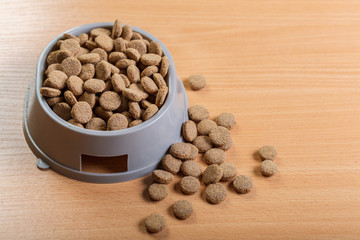 pets food on wooden floor