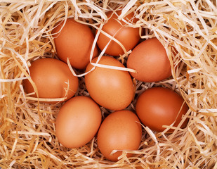 Eggs on wooden background
