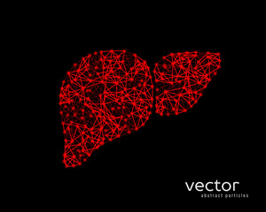 Vector illustration of human liver with cirrhosis.