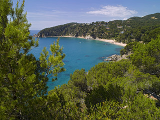Fototapeta na wymiar Costa Brava cala Llorell playas Girona Cataluña España