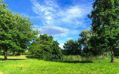 summer day in rural landscape