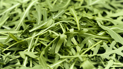 Rucola closeup