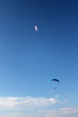 Gleitschirmflieger vor blauem Himmel / Hohe Wand / Niederösterreich