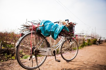 Fototapeta premium peach flowers blossom and bicycle in Spring