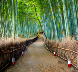 Path to bamboo forest, Arashiyama, Kyoto, Japan.