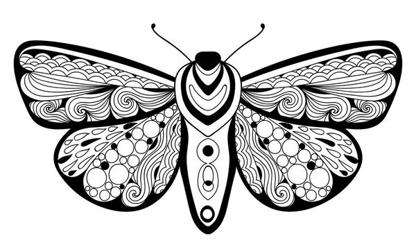 Doodle stylized black butterfly. Hand drawn vector illustration isolated on white background.