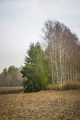 A beautiful norther Europe landscape in an early spring