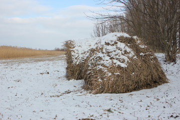 Зимний   стог сена . 