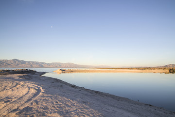 Desert oasis at the Salton Sea in the California desert