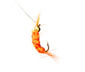fly for fishing on a white background