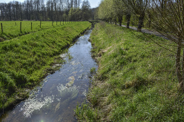 Fototapeta premium fluss