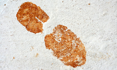 Closeup of boot mark or foot print on white washed or painted foor