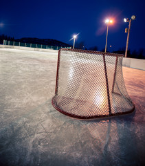 outdoor rink hockey net
