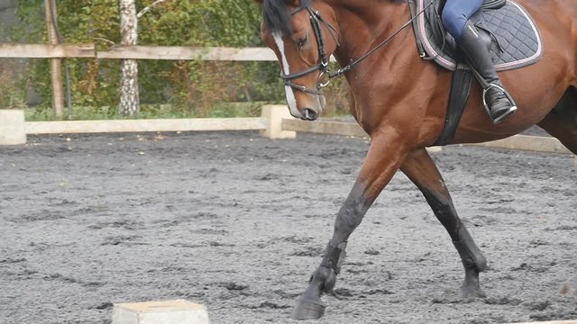Young man horseback riding outdoor. Male jockey at horse walking at manege at farm on summer day. Beautiful nature at background. Stallion close up. Love for animals. Slow motion