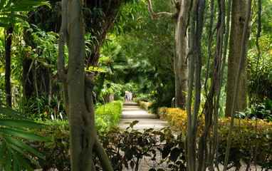 Jardín Botanico / Teneriffa